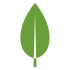 MongoDB